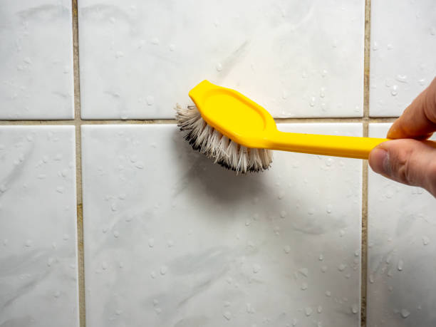 Best Certified Mold Removal  in Elverta, CA