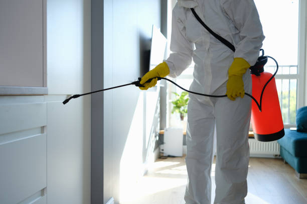 Best Office Mold Removal Services  in Elverta, CA