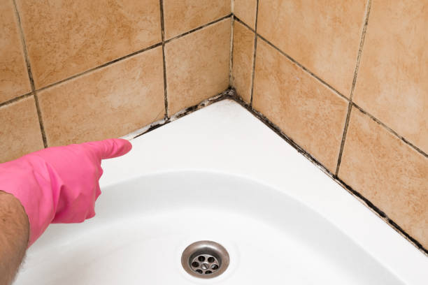 Crawl Space Mold Removal in Elverta, CA
